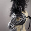 Black horse masquerade mask detail